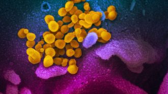 China tilda de “arrogante” a la OMS por investigar otra vez el origen del coronavirus