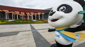 Discurso de Xi Jinping inauguró la IV Exposición Internacional de Importaciones de China