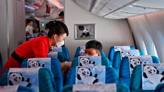 Más de 840 aviones civiles chinos pueden proporcionar servicio de Wi-Fi a bordo