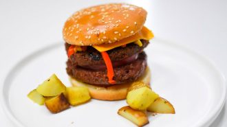 Estudio: Restringir la alimentación a la primera parte del día es beneficioso para la salud metabólica