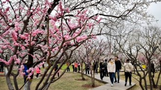 China cultural: “Los grandes corazones abrazan a todos”