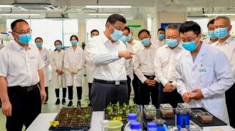 Xi subraya importancia de “semillas chinas” para garantizar seguridad alimentaria