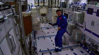 Crecimiento de plantas en laboratorio espacial de China está en buenas condiciones