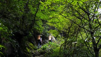 China ampliará reserva forestal nacional en 2,4 millones de hectáreas