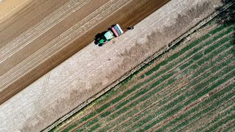 Científicos chinos proponen una forma de lograr una producción de cultivos neutra en carbono