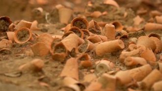 Descubren sistema de regadío en antigua ciudad china de hace 5.000 años