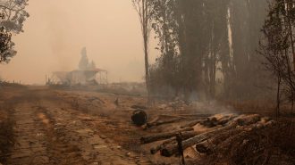 Comunidad china en Chile donó más de 20 toneladas en ayuda para damnificados por los incendios