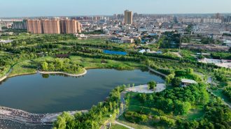 China fortalece protección ambiental y promueve desarrollo bajo en carbono en último lustro