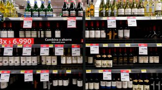 Gremio del Valle de Colchagua: Aún hay “mucho potencial” en el mercado chino para nuestros vinos