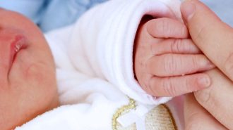 Aumentan en un 10% los nacimientos en China durante primeros meses del Año del Dragón