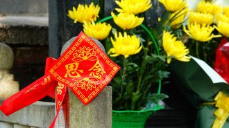 Barrido de tumbas, flores y ofrendas: Así se celebra el Festival de Qingming en China