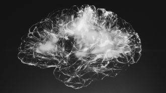 Científicos chinos reviven un cerebro humano que llevaba 18 meses congelado