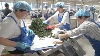 Sector industrial de China registra crecimiento sostenido en julio