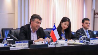 Chile espera aumentar exportaciones de carnes y frutas a China