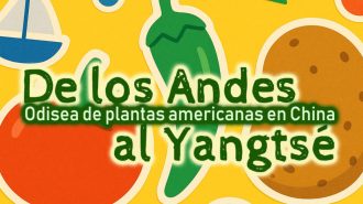 Podcast explora la travesía de los alimentos que cruzaron “De los Andes al Yangtsé”