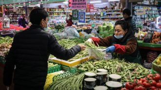 ¿Qué trae la “muestra china” a la gobernanza de la reducción de la pobreza en el mundo?