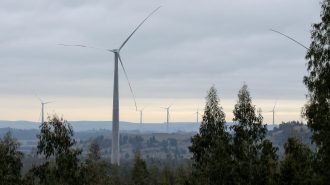 AIE: China e India serán “los gigantes” que encabezarán las energías verdes