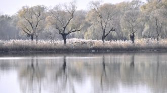 China construirá moderno sistema meteorológico para incrementar precisión de los pronósticos
