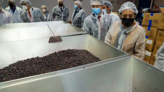 Chile amplía a 17 las especies disponibles para exportar a China