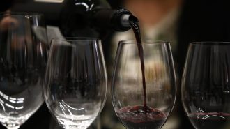 Chile Week China: Nuestra cultura vitivinícola desembarcará en tres ciudades del gigante asiático