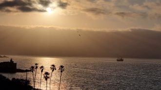 Investigadores chinos revelan causas de aumento de eventos de El Niño