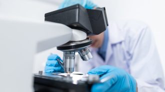Científicos chinos crean una nueva herramienta de edición genética “más precisa y segura”