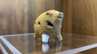 Descubren tumbas de más de 6.000 años en el este de China