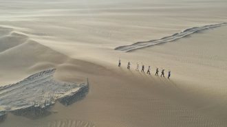 Xi pide “milagros” contra la desertización en zona china de origen de tormentas de arena