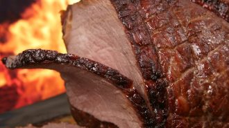 Fábrica de carne cultivada en laboratorio comienza producción piloto en Shanghai