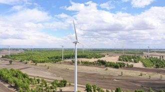 China: La Franja y La Ruta impulsará el desarrollo ecológico