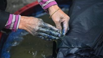 Investigadores chinos desarrollan nuevo método para reciclar colorantes orgánicos en aguas residuales