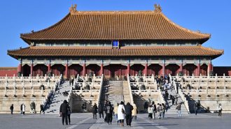 Casi la mitad de colecciones del Museo del Palacio de China se han digitalizado