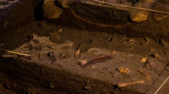 Descubren antigua ciudad china con piezas de adivinación de hace más de 2.000 años