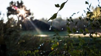 China usará más de 18.000 millones de metros cúbicos de agua no convencional en 2024