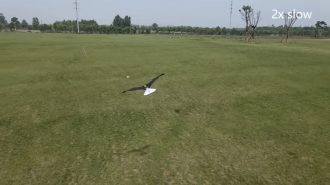 China presenta un avión que imita el vuelo de las aves