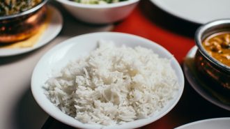 Científicos cultivan por primera vez arroz de cosecha rápida en zonas desérticas de China