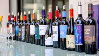 “Chile Wine Week in JD”: Más de 800 vinos se lucieron en China