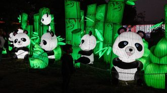 Los hitos de la relación entre China y Chile este 2024