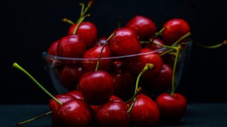 Exportación de la cereza alcanzó en enero su nivel más alto desde que hay registro en Chile