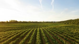 Realidades y horizontes de cooperación agrícola entre China y los países de América Latina