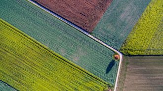 China anuncia un plan para impulsar el desarrollo de tierras agrícolas de “alto estándar”