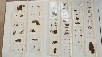 Museo de EE.UU. devuelve a China antiguos manuscritos en seda de los Reinos Combatientes