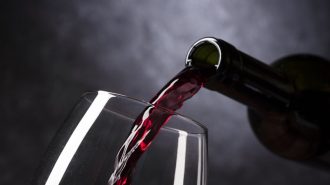 Industria del vino: Casablanca estrecha vínculos con provincia china de Shandong