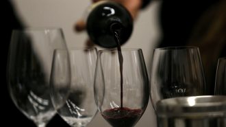 Degustación a ciegas: Chinos escogen el mejor vino chileno
