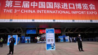 Año inusual, el encanto del gran mercado de China es más obvio