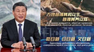 Programa sobre “frases clásicas” citadas por Xi Jinping se estrenó en Asia Central