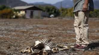 Convenio entre Chile y China busca enfrentar la desertificación y el cambio climático