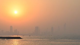 “Enfermedades de la Tierra”: Temperaturas extremas causan una verdadera crisis medioambiental