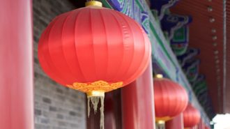 “Viajemos a China”: Confucio Santo Tomás promueve sus campamentos de verano