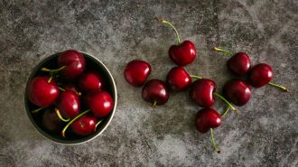 China recibe frutas chilenas con innovador sistema de control de temperatura